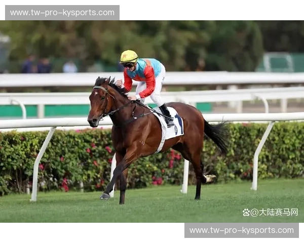 赛马集锦：速度与荣耀的瞬间